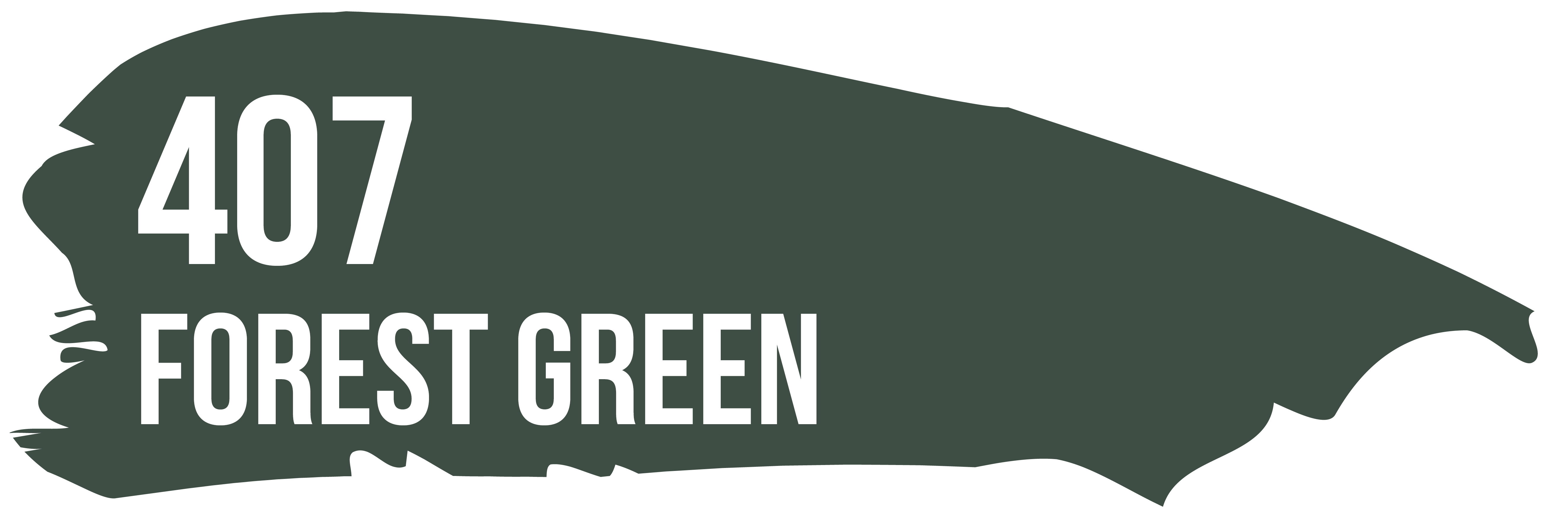 Термоплівка 407 FOREST GREEN зелений ліс Poli-Flex Premium