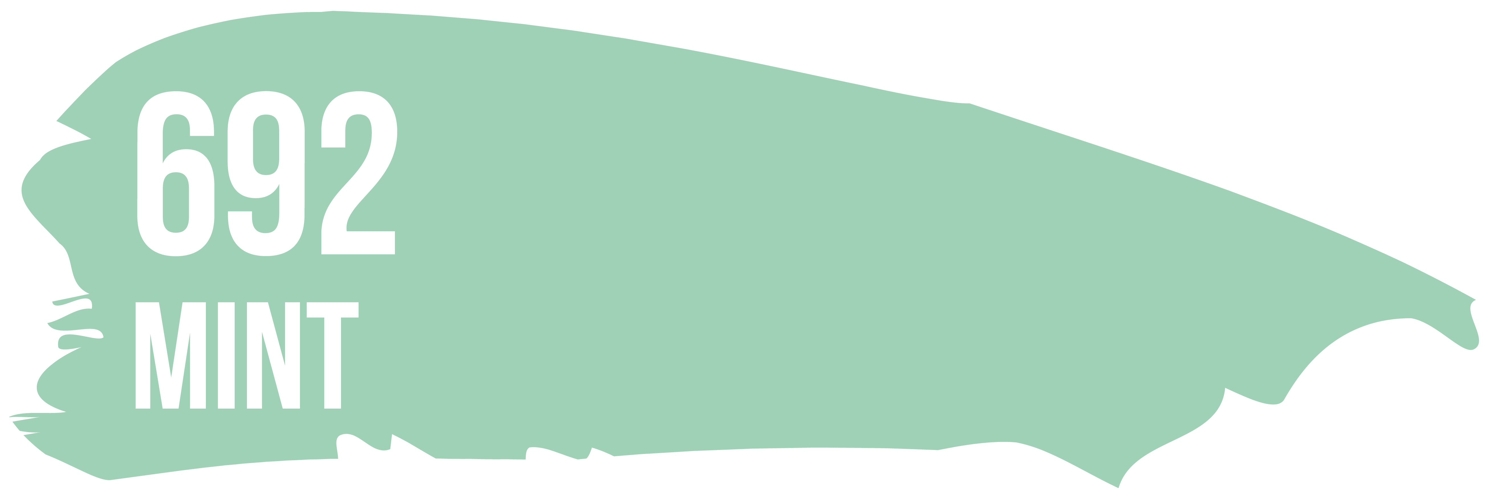 Термоплівка 692 MINT мятна Poli-Flex Premium