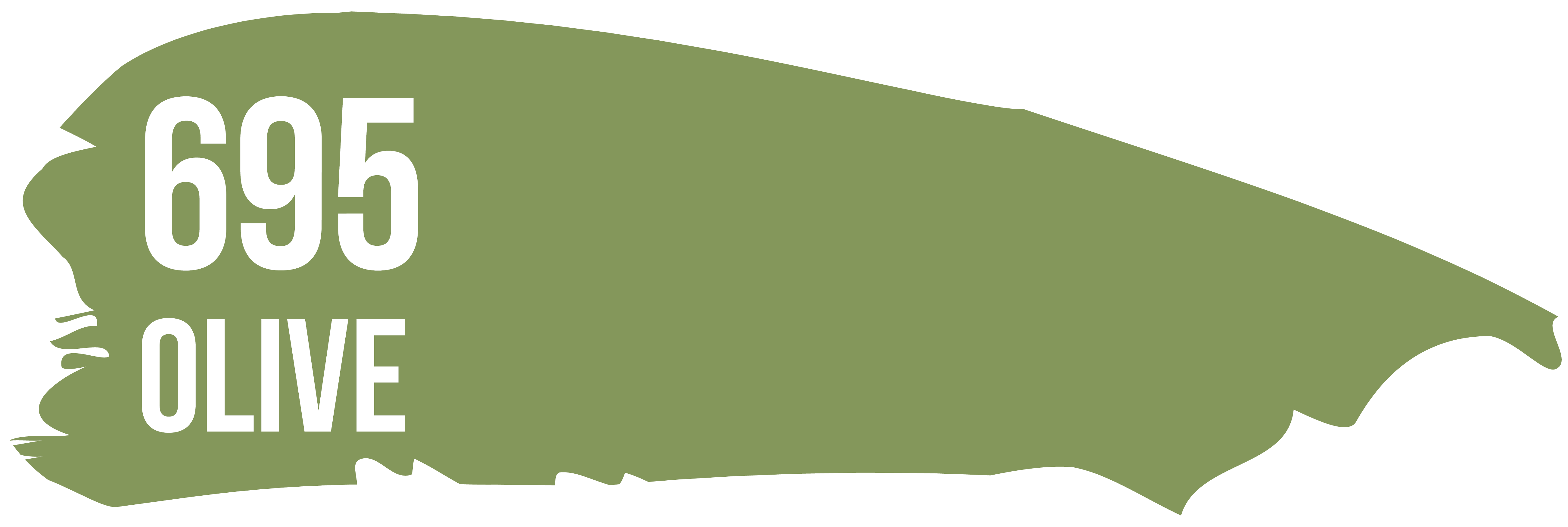 Термоплівка 695 OLIVE оливкова Poli-Flex Premium